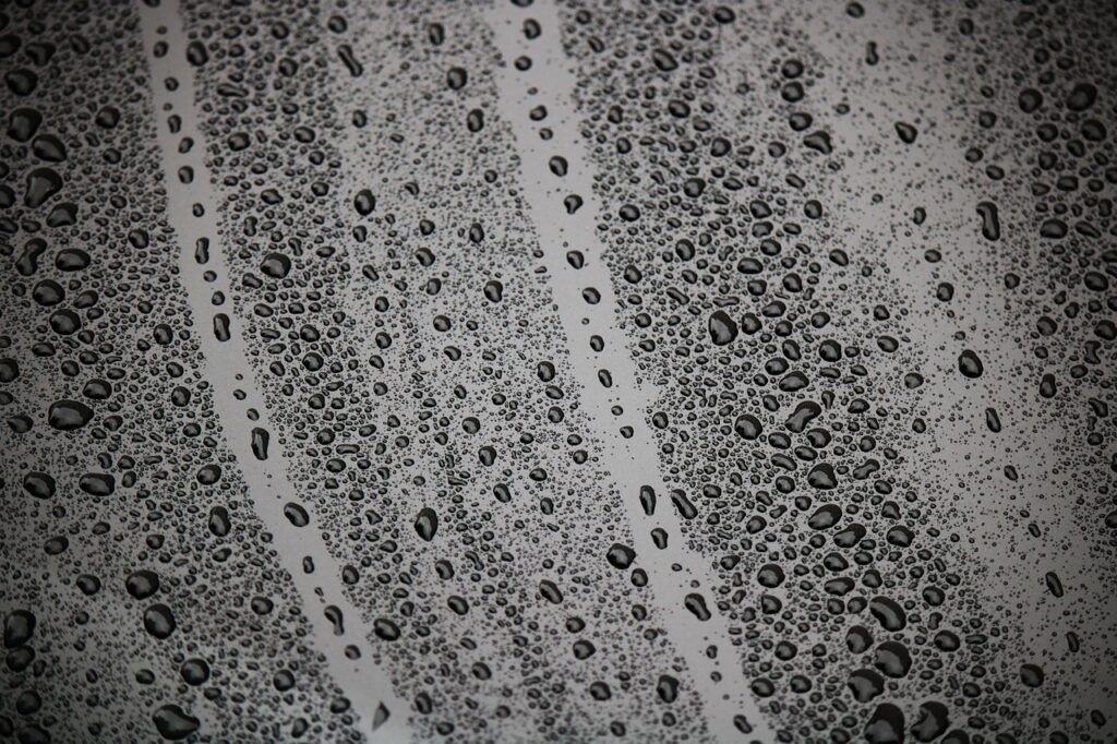drip, wet, drop of water-2806027.jpg